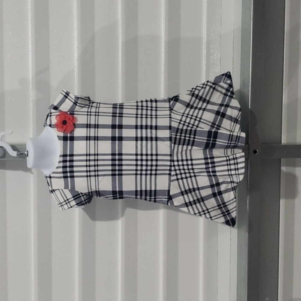Girls dress size 4 Gymboree brand
